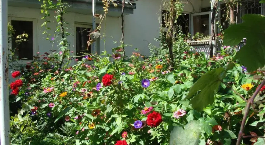 Lucky House
