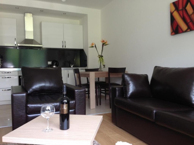 1 Bedroom Apartment with view
