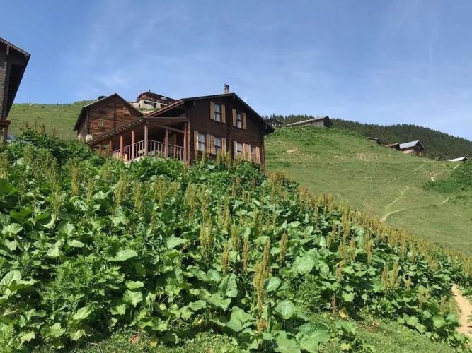 Pokut Inn