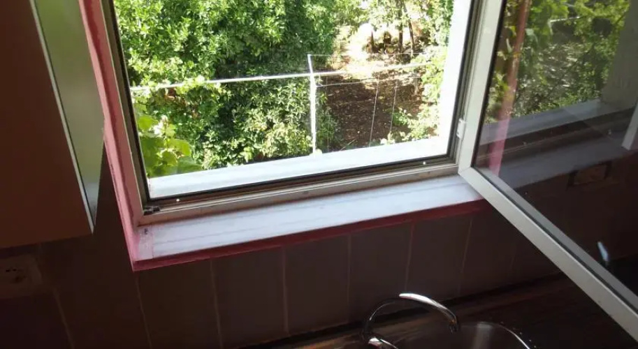 Dolphin Hostel