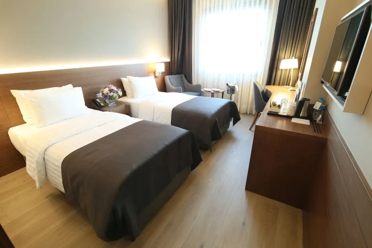 Standard Twin room with city view
