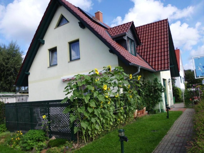 1 Bedroom Standard Apartment