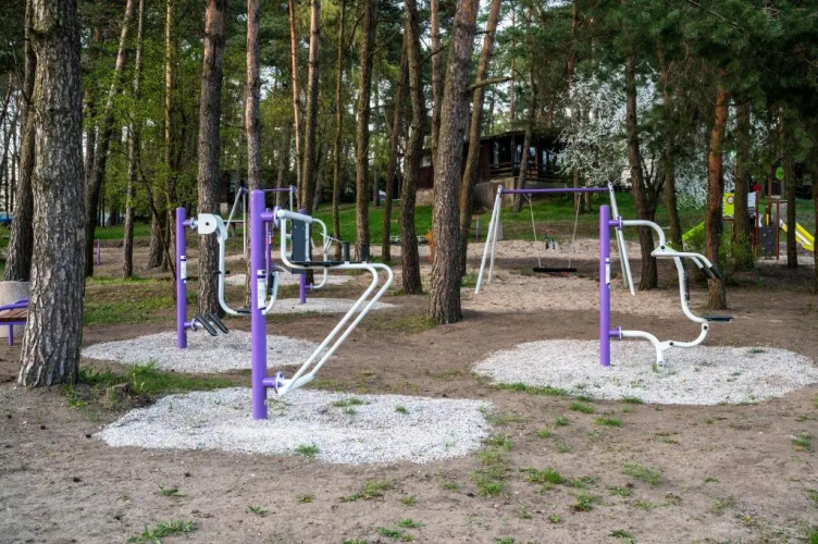 Róża Wiatrów