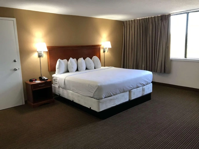 Quadruple Suite
