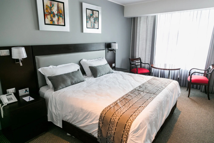 Petit Palace Apart Hotel Suites