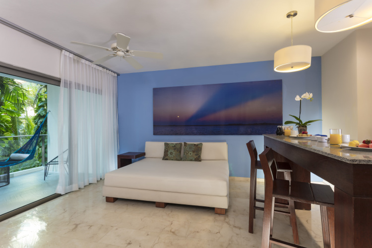 THE PALM AT PLAYAOver view