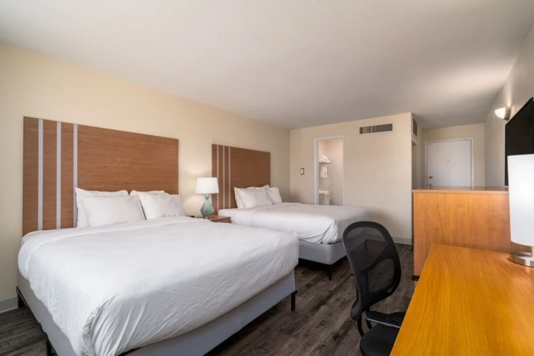 Deluxe Quadruple room
