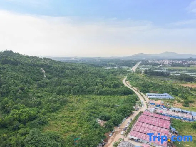 Yangxi Hi Apartment