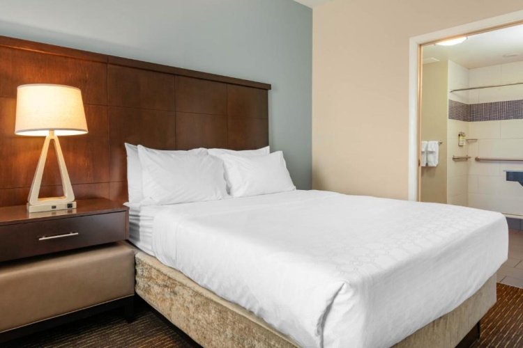 1 Bedroom Suite