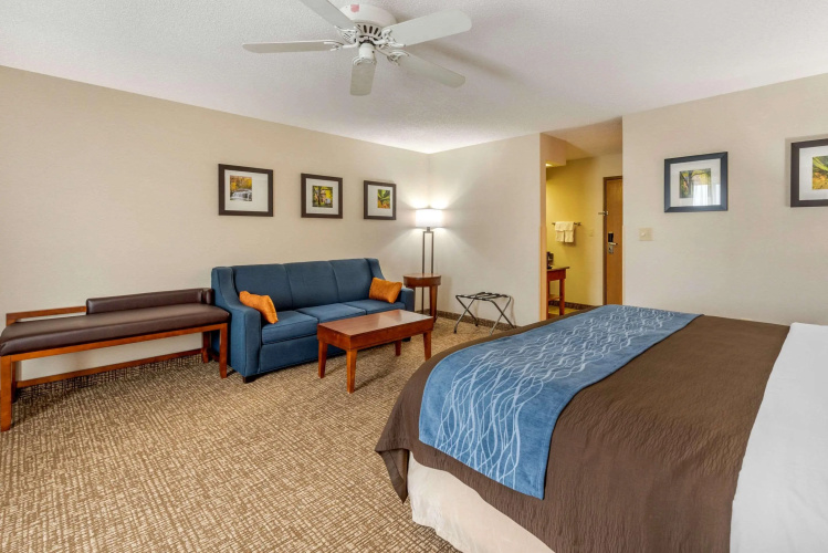 Comfort Inn Anderson South
