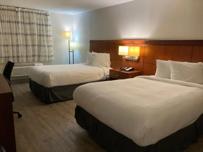 Standard Double room
