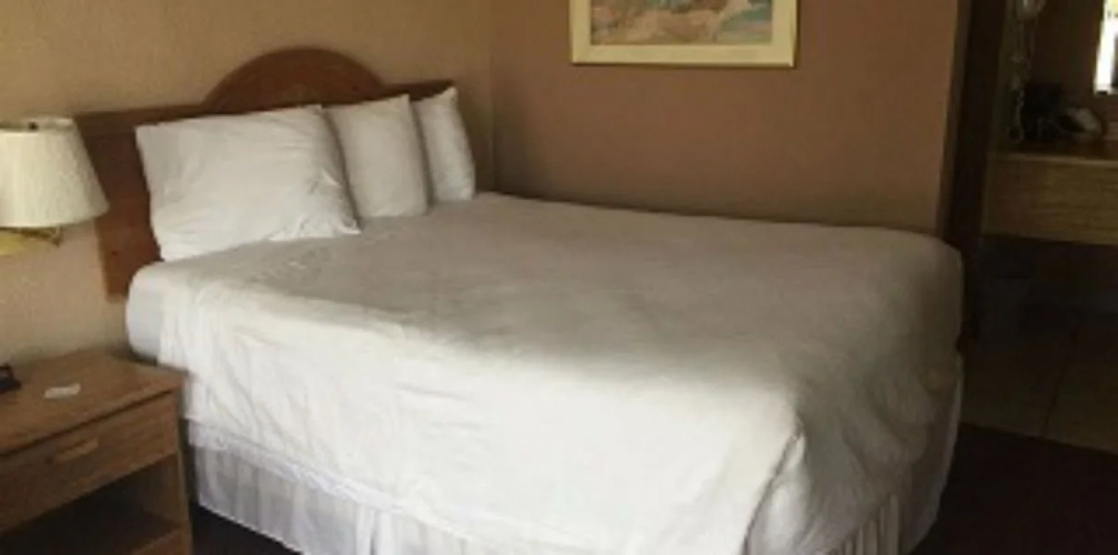 Willow Tree Inn