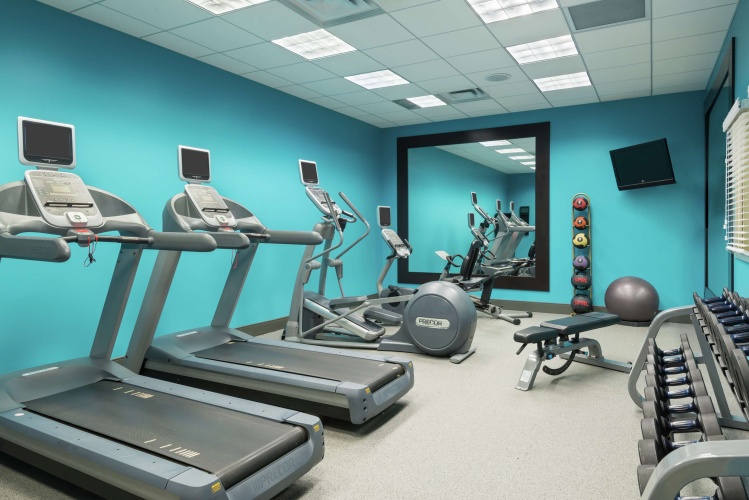 Hilton Garden Inn Tampa Airport Westshore photo 25