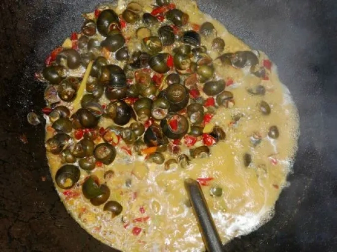 Meal