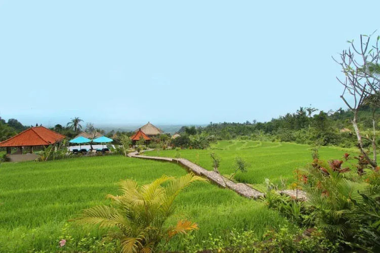 The Khana Sambangan