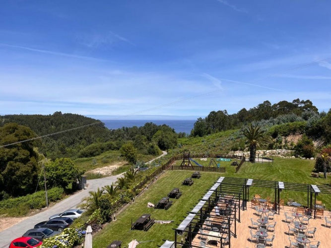 Deluxe Double room with garden view