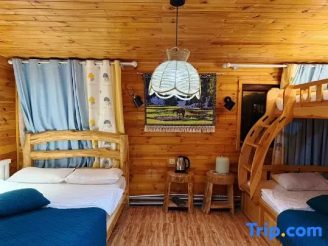 Standard Family room