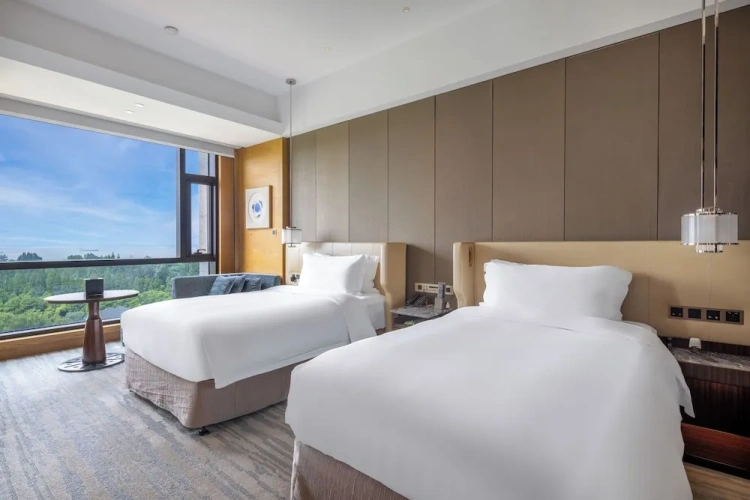 Premium Twin room with river view