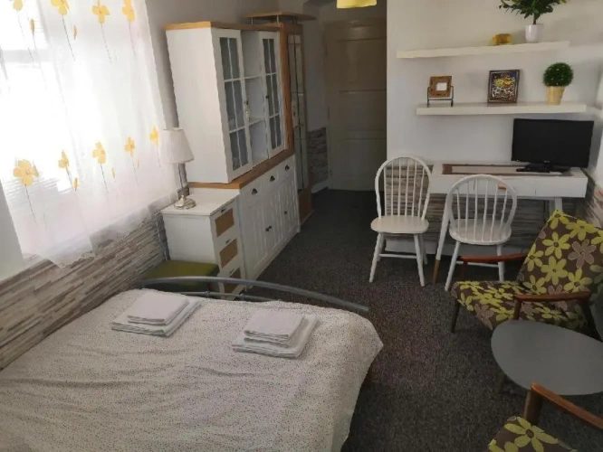 Standard Double room with garden view