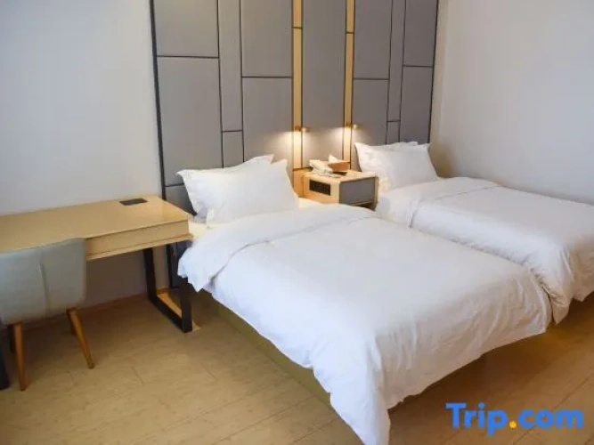 Twin Suite
