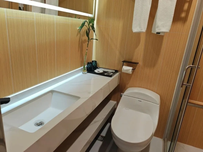 Comfort Single room