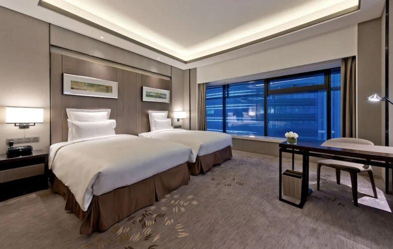 Superior Twin room with city view