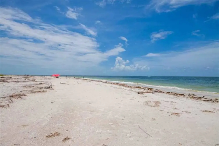 242 - Beach Daze