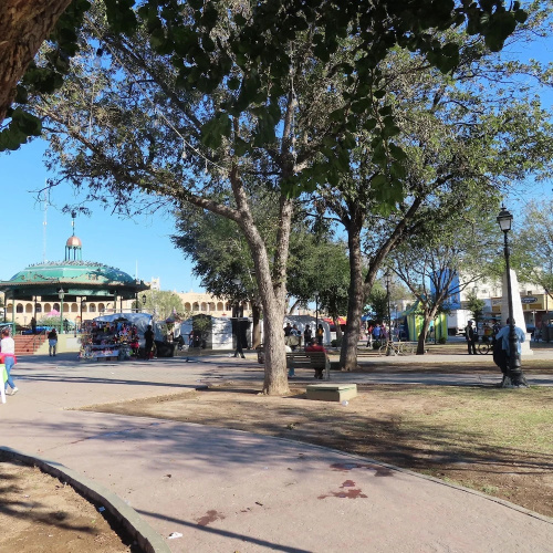 Meson Del Rey