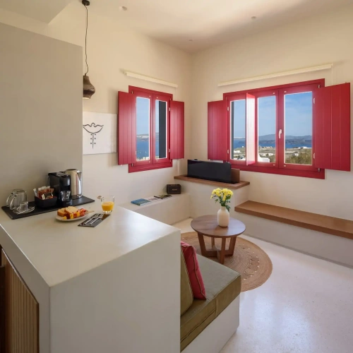 Premium with Private Pool and Jacuzzi Suite