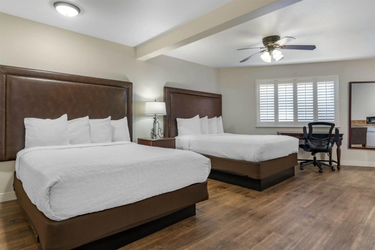 Quadruple Suite