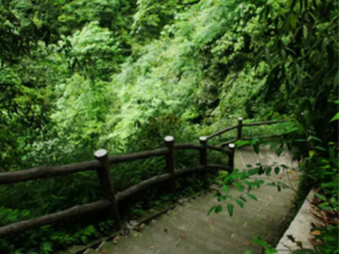 Xingyuanju Yangxin Apartment