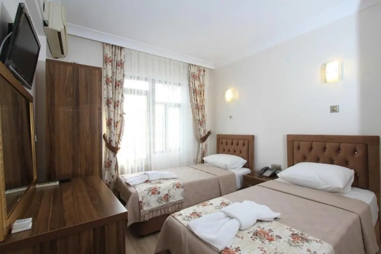 Standard Twin room with garden view