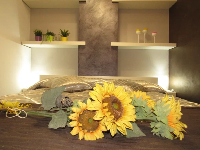 1 Bedroom Standard Double room