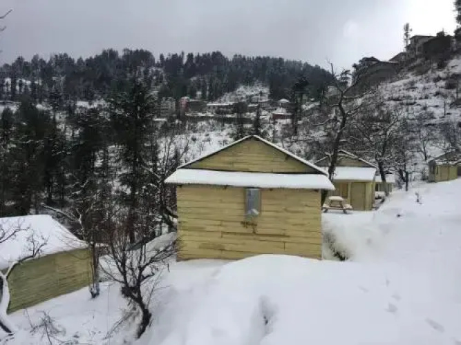 Apple Farms Kufri