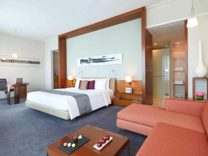 Executive Premier Double Suite