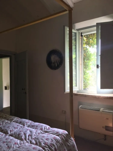 Standard Double room with garden view