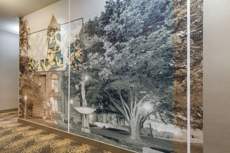 Cambria Hotel Rockville photo 30