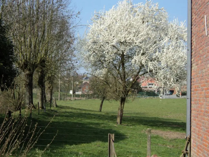 B&B Molen Ter Walle