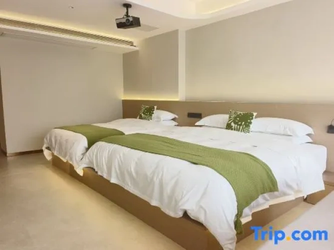 Standard Double room with balcony and with view