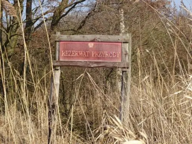 Wodnik