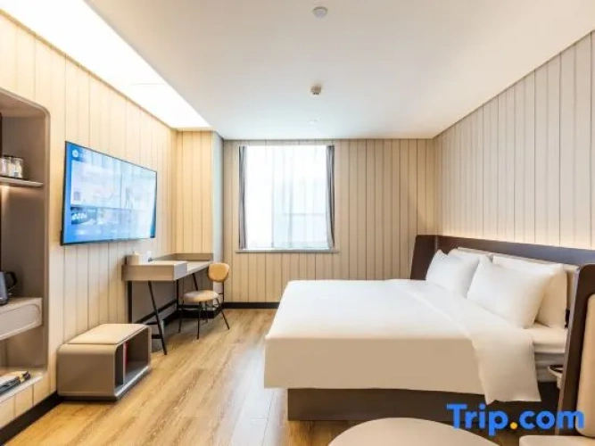 Twin Suite
