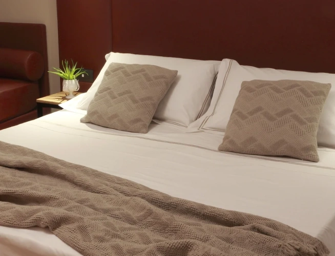 1 Bedroom Deluxe Double room