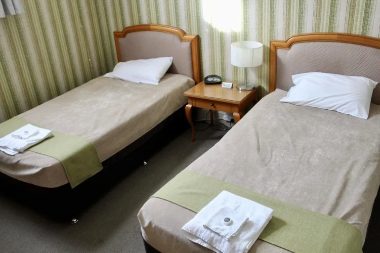 Standard Twin room with balcony