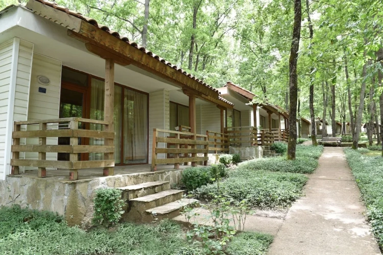 Classic Double room with balcony and with garden view