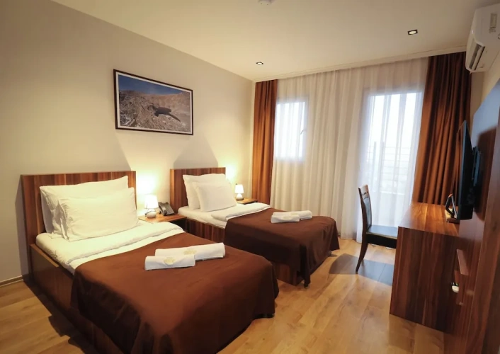 Standard Twin room with balcony and with city view