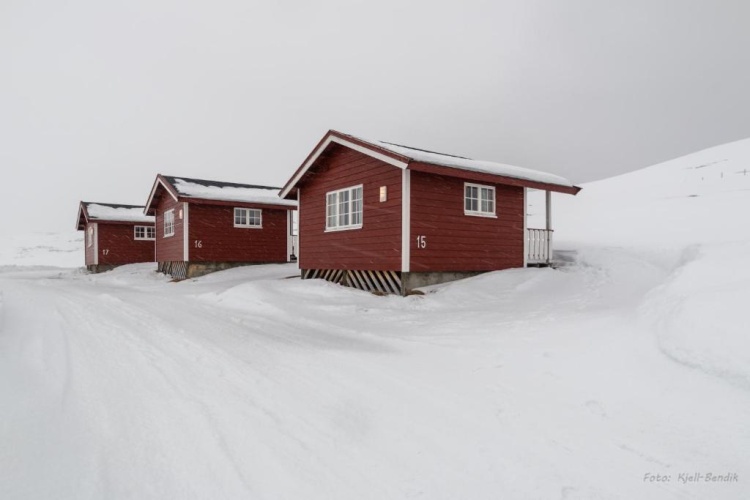 Standard Cottage