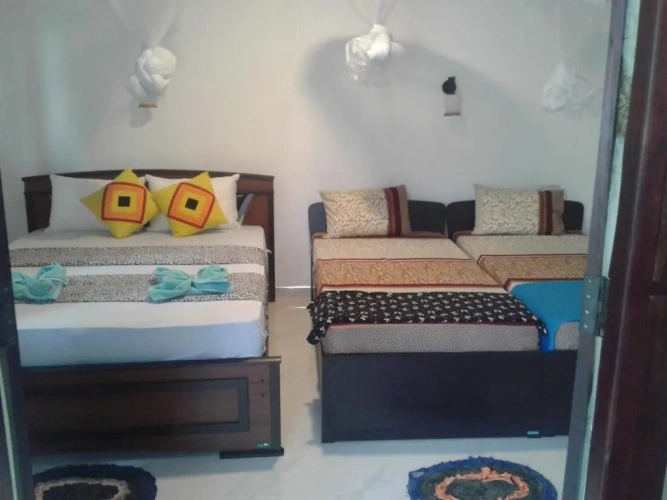 Deluxe Double room with balcony and with view