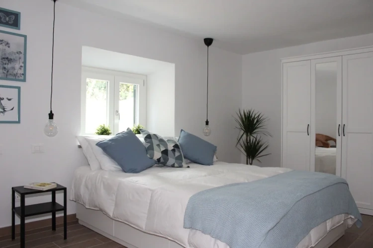 1 Bedroom Classic Apartment