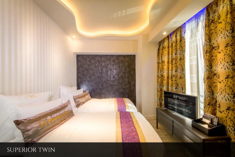 Superior Twin room with city view