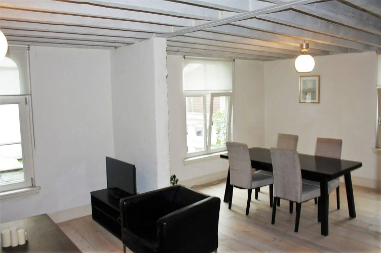 Traditional Modern Apartments